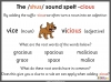 Words Ending with the 'shus' Sound Spelt -cious or -tious - Years 5 and 6 Teaching Resources (slide 6/42)